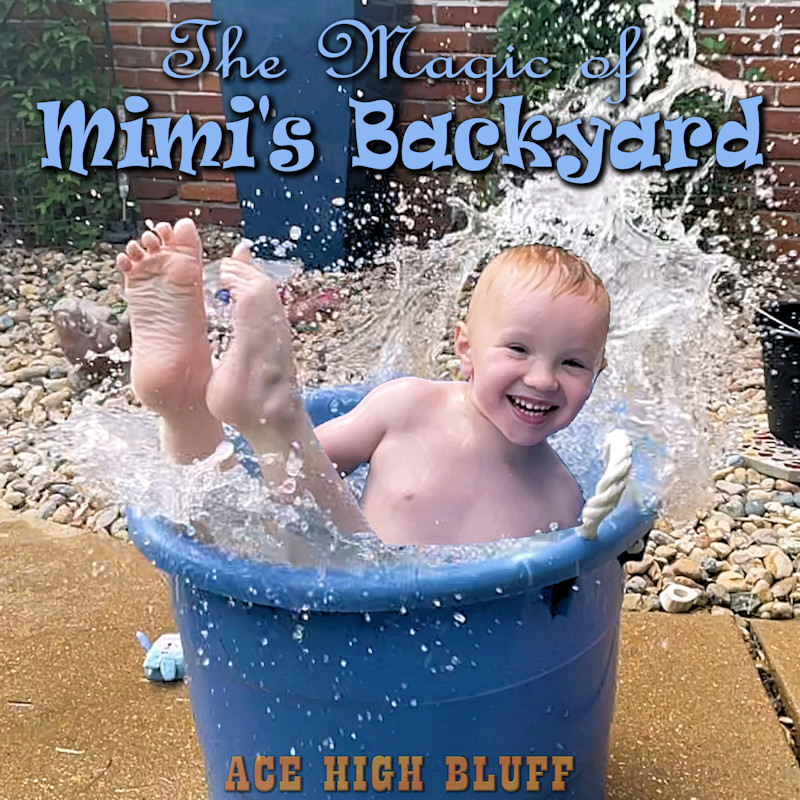 Ace High Bluff Cover Art Example